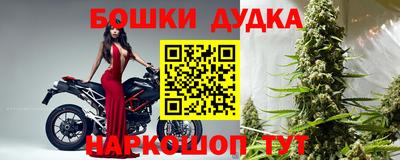 шишки Кингисепп