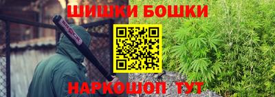 шишки Кингисепп