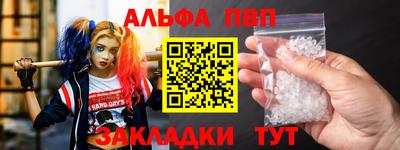 шишки Кингисепп